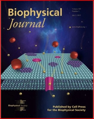 Issue: Biophysical Journal